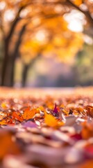 Bokeh effect defocused view of the colorful leaves in the autumn park. Fall forest background