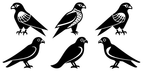 Falcon bird icons set silhouette vector, Falcon bird icons illustration