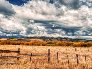 autumn skies and golden bushes and grass with a fence in the foreground