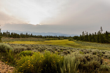 colorado pasture with green sage brush and faded mountains in the background