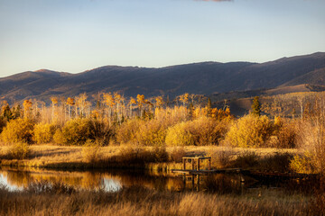 a small pier on a pond in colorado in autumn with gold trees and bushes and a mountain in the background