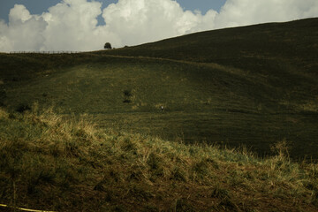 Obraz premium collina scura