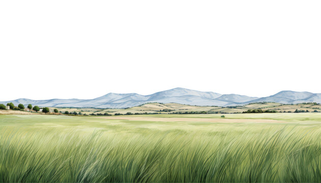 landscape with grass watercolor isolated on transparent background cutout