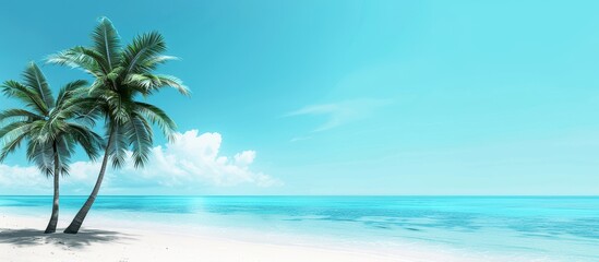 Fototapeta premium Tropical beach with palm trees and clear blue sky, perfect for a tranquil getaway. Scenic view of serene ocean and sandy shore.