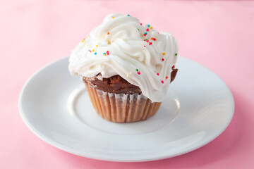 a cupcake on a plate, on a pink background