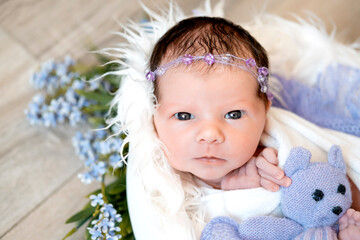 newborn baby girl in a diaper with open eyes in lavender lilac flowers and a soft teddy bear, close-up portrait