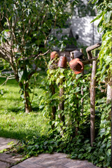 Homemade wooden fence made of tree branches, summer, creative ideas, brown clay mugs hanging on the fence, background of bushes.