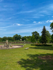 course in the morning