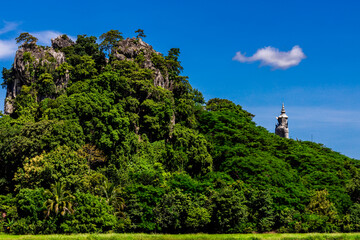 The close background of the green rice fields, the seedlings that are growing, are seen in rural areas as the main occupation of rice farmers who grow rice for sale or living.