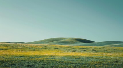 Rolling Hills Landscape