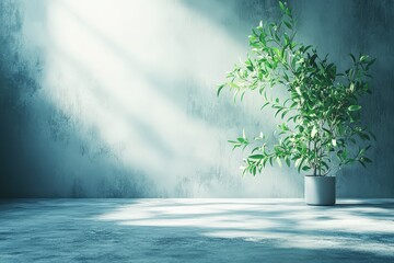 Obraz premium Sunlit Minimalism: A single potted plant stands in a spacious, industrial-style room, bathed in soft sunlight streaming through a window, creating a serene and minimalist ambiance.