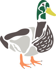 Duck with green head