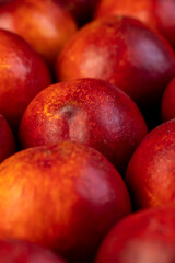 a large number of ripe soft nectarine fruits on the table
