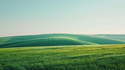 Obraz premium Rolling Green Hills