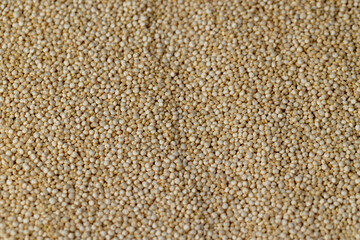 not cooked healthy quinoa porridge grains