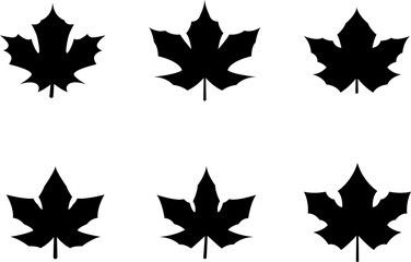 A collection of autumn leaves in a variety of shapes and forms