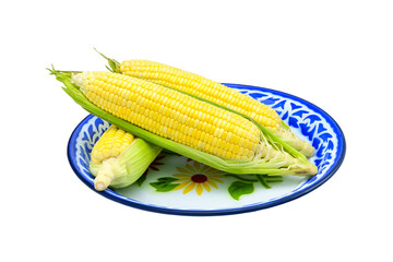 three ripe sweetcorn  in metal plate on white background closeup,isolated