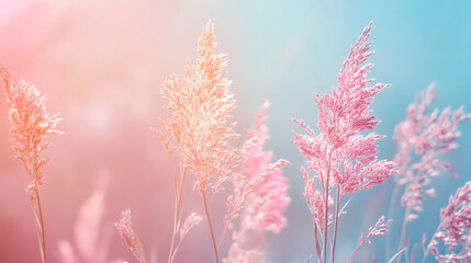 Abstract herbal plant background in pastel colors, perfect for nature-themed designs and organic products.