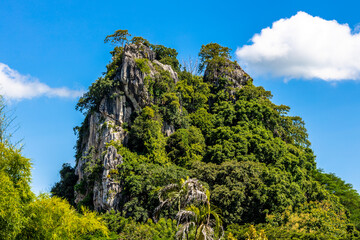 The close background of the green rice fields, the seedlings that are growing, are seen in rural areas as the main occupation of rice farmers who grow rice for sale or living.