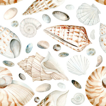 Seamless pattern Seashells Hrebels and Linatella Caudata. Drawing on a white background. Watercolor illustration in pastel colors. The drawing is drawn by hand. Suitable for cards