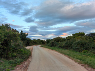 Road trough the forest bellow the blue sky and clouds in Medulin, Croatia
