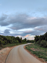 Road trough the forest bellow the blue sky and clouds in Medulin, Croatia