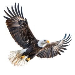 Fototapeta premium Bald Eagle in Flight: A majestic bald eagle soars through the sky, its wings outstretched in a powerful display of freedom and strength. This captivating image captures the essence of wildness and the