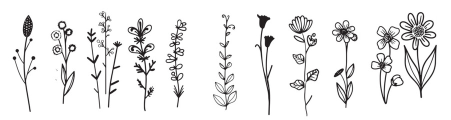 wildflower set black white silhouette vector illustration