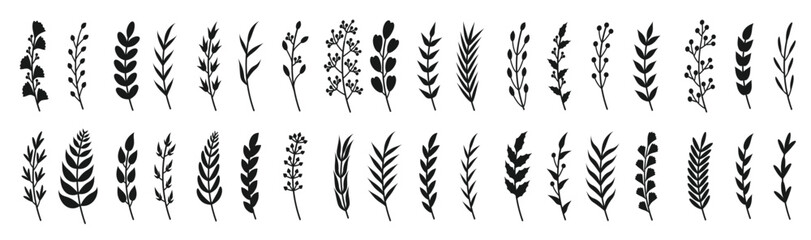 black silhouette laurel branches set hand drawn floral element