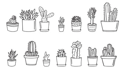 cactus outline sketch hand drawn plants doodle flower pot simple isolated line style