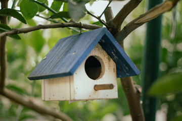 Bird House Tree Wood