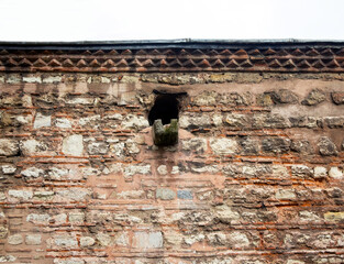 detail of historical old brick stone wall  and gargoyle 