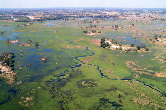 Okavango Delta