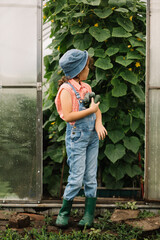 Cute kid girl hold fresh just harvested vegetables cucumbers of a countryside farm.