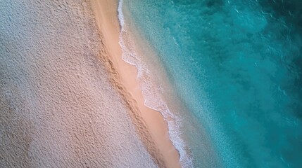 Fototapeta premium Aerial View of a Sandy Beach Meeting the Turquoise Ocean