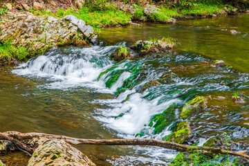 Paint Creek slides downstream over mossy covered rocks in Paint Mtn RA