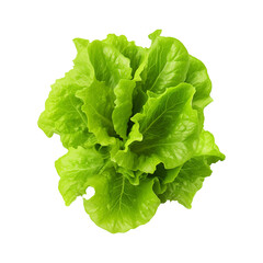 Fresh green lettuce leaves isolated on transparent background png