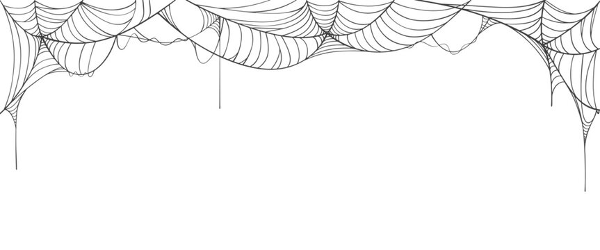 Vector Cobwebs Background