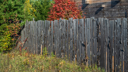 Fototapeta premium A wooden timber house under construction is located behind a wooden fence. Construction of a country house made of timber. There are trees growing near the house made of timber.