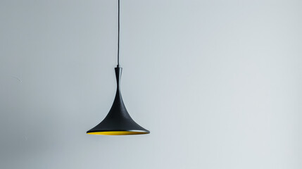 Fototapeta premium modern black pendant lamp on white background