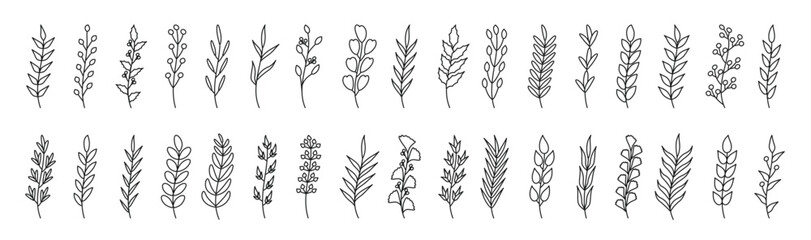 curved black outline tree branches set frame border divider floral elements leaf berry