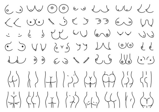 Hand drawn set types of female breasts and buttocks. Doodle boobs and butts. Vector line illustration isolated on white background.