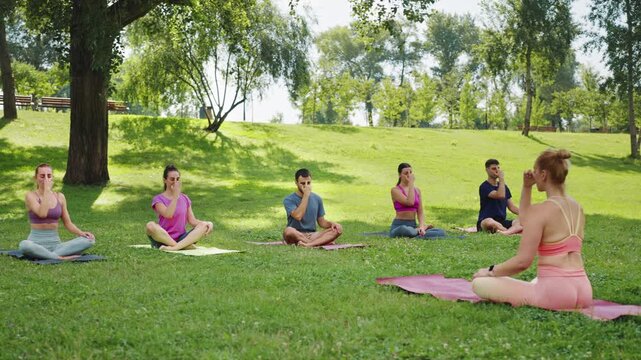 Group engaging in pranayama techniques during outdoor yoga session in lush park setting. Participants sit on mats, focusing on controlled breathing and inner peace. Concept of community well-being