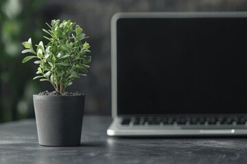 Innovative financial presentations showcasing growth opportunities in a digital workspace