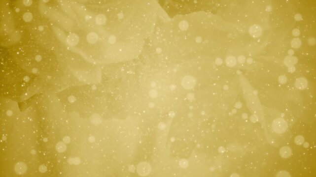 薔薇の花 美しい パーティクルBG182_ 05