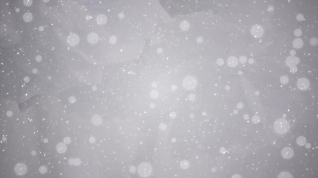 薔薇の花 美しい パーティクルBG182_ 06