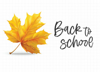 Realistic leaf isolated white background, vector realistic, autumn illustration	