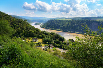 Der Rhein in den Nähe von Lorch.