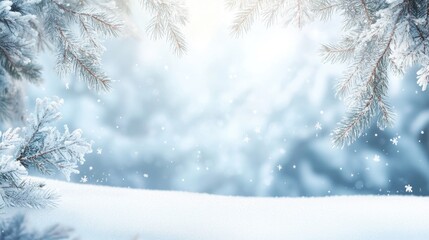 Fototapeta premium Winter background with empty space, blurred snow covered branches