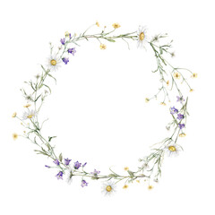Wreath hexagon shape of yellow buttercup and white little flower and violet bluebell. Watercolor hand painting illustration on isolate. Circlet of meadow flowers. Botanical summer wildflower.